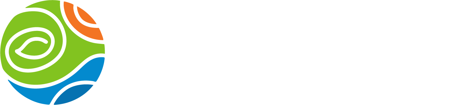 Logo CST